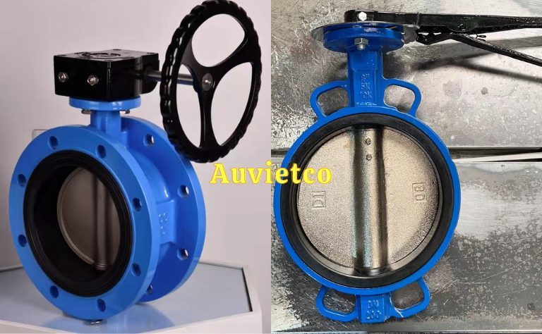 Van bướm DN200 là gì?