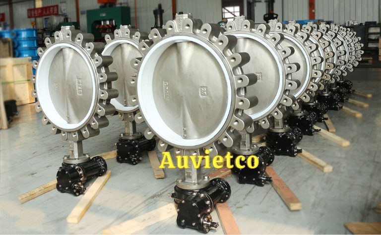 Van Buom Dn200 Tai Bich Auvietco