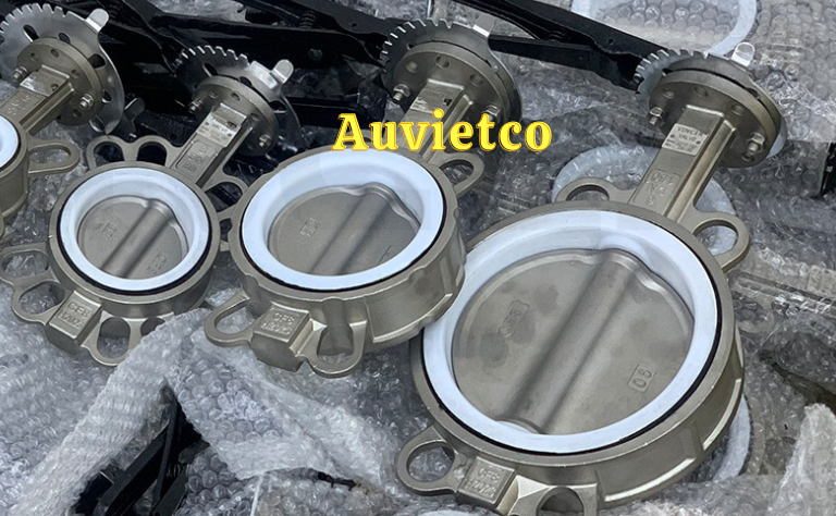 Van Buom Dn200 Than Inox Auvietco