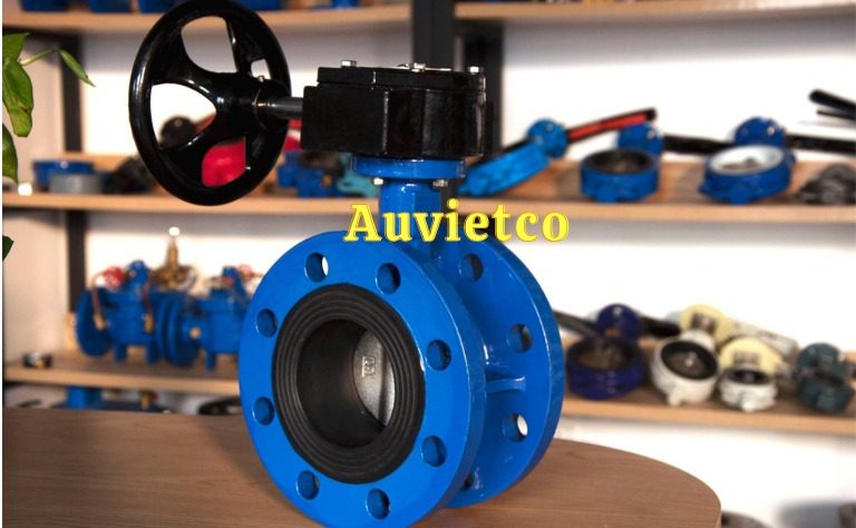 Van Buom Mat Bich Dn200 Auvietco