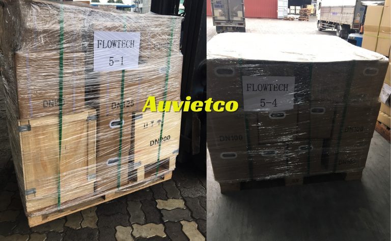 Cac Loai Dong Ho Nuoc Flowtech Auvietco