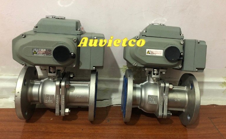 Van Bi Dieu Khien Dien Tuyen Tinh Auvietco