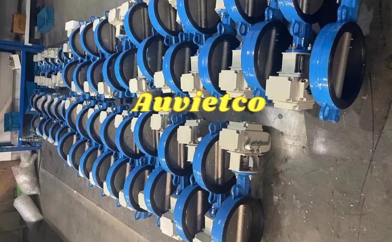 Van Buom Dien Dn200 Ket Noi Kep Wafer Auvietco