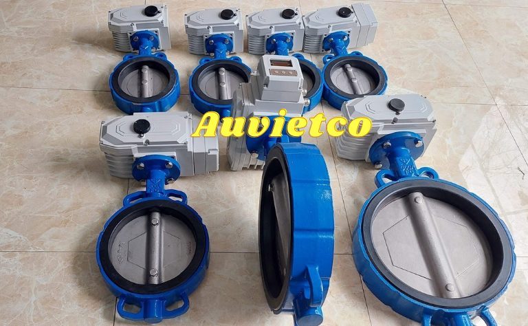 Van Buom Dien Dn200 La Gi Auvietco