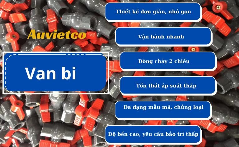 Dac Diem Noi Bat Cua Van Bi Auvietco