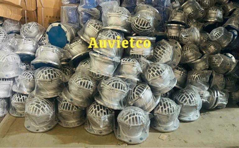 Cac Loai Ro Bom Inox Auvietco1