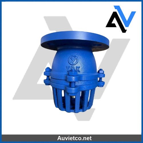 Ro Bom Gang Auvietco1