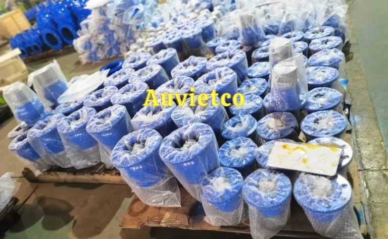 Van nước Âu Việt- Địa chỉ cung cấp rọ bơm gang chính hãng giá tốt